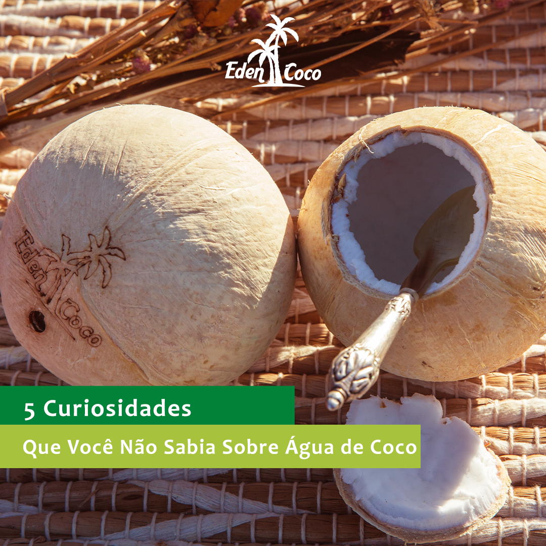 5 Curiosidades Que Você Não Sabia Sobre a Água de Coco